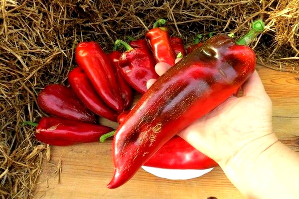 Перец сладкий ПАЛАНАЧКО ДИВО 30шт